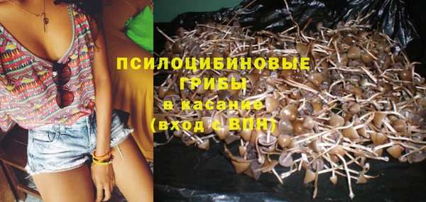 гидра Галич