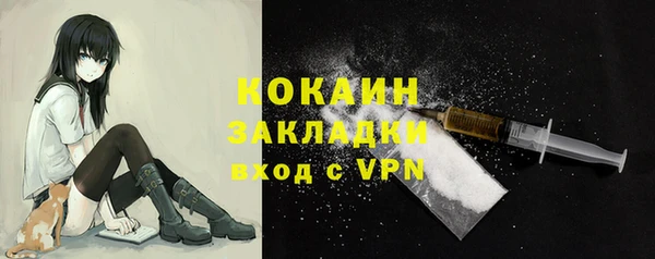 прущие грибы Коряжма