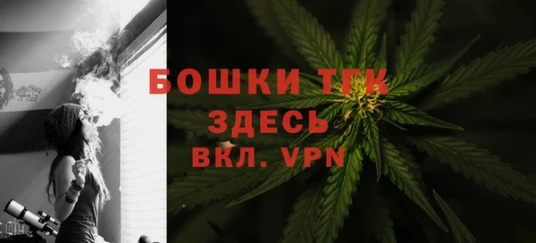 дживик Кулебаки