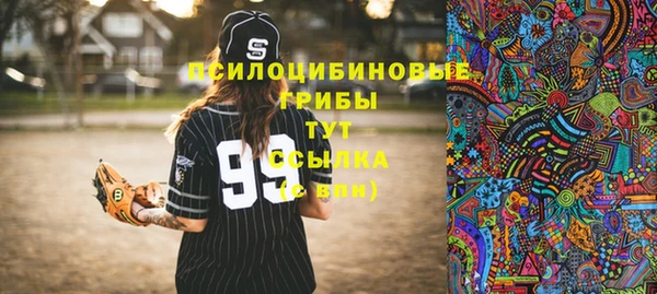 дживик Кулебаки