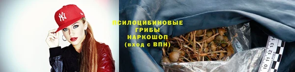 дживик Кулебаки