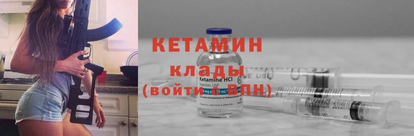 сатива Гвардейск