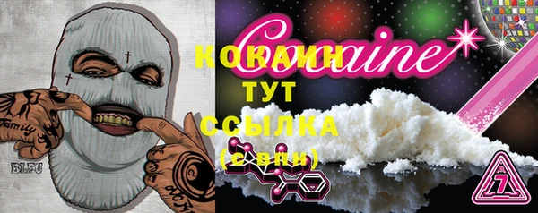 прущие грибы Коряжма
