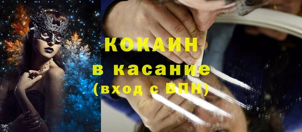 прущие грибы Коряжма